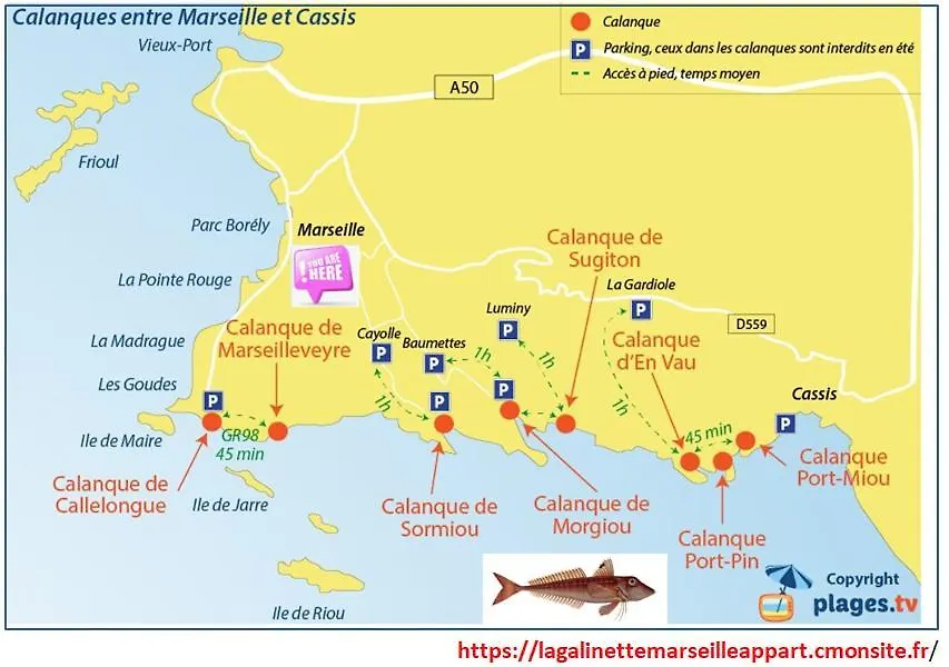 Marseille Entre Plage Et Calanques Chez Steph France